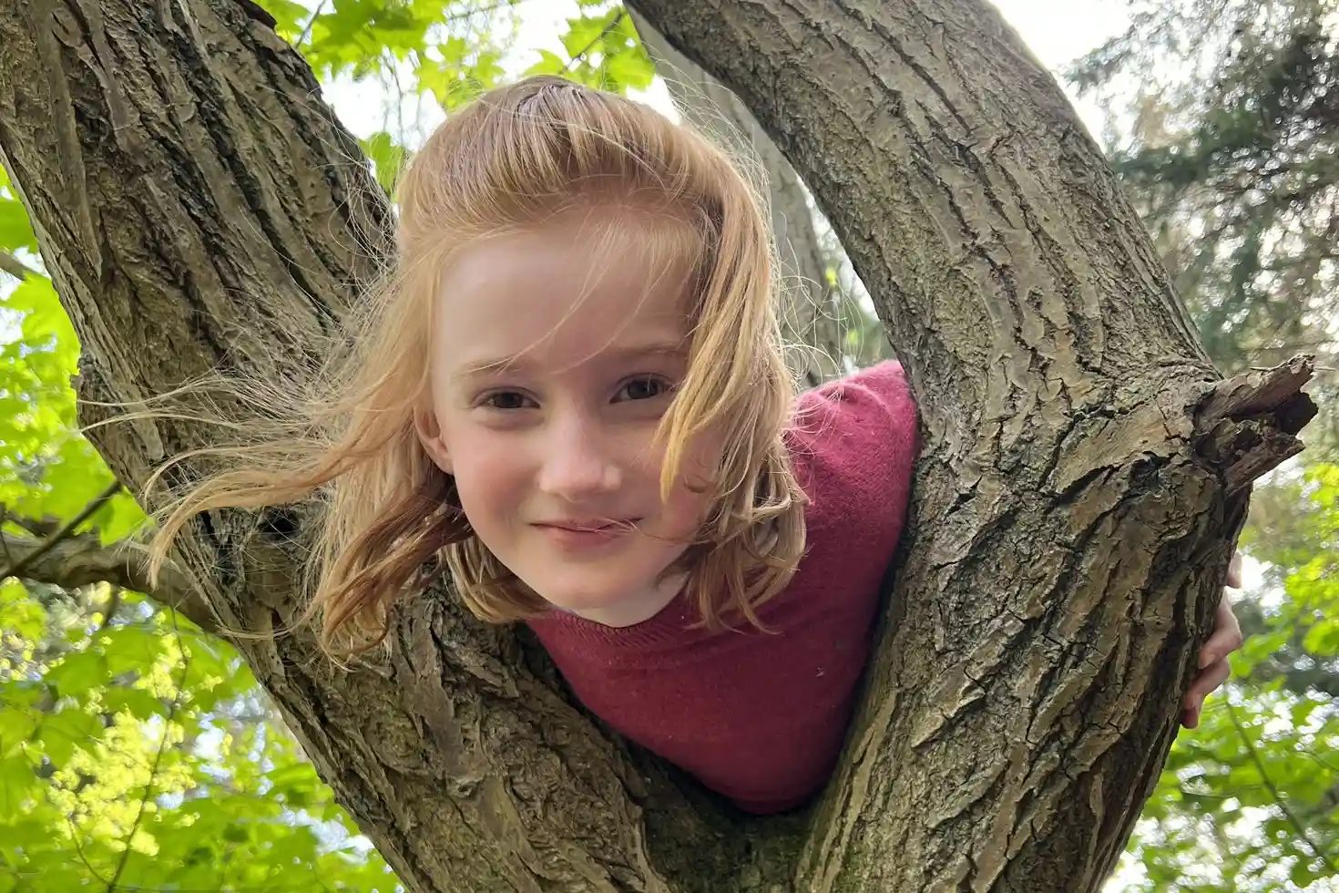 Girl smiling while peeking through the branches of a tree