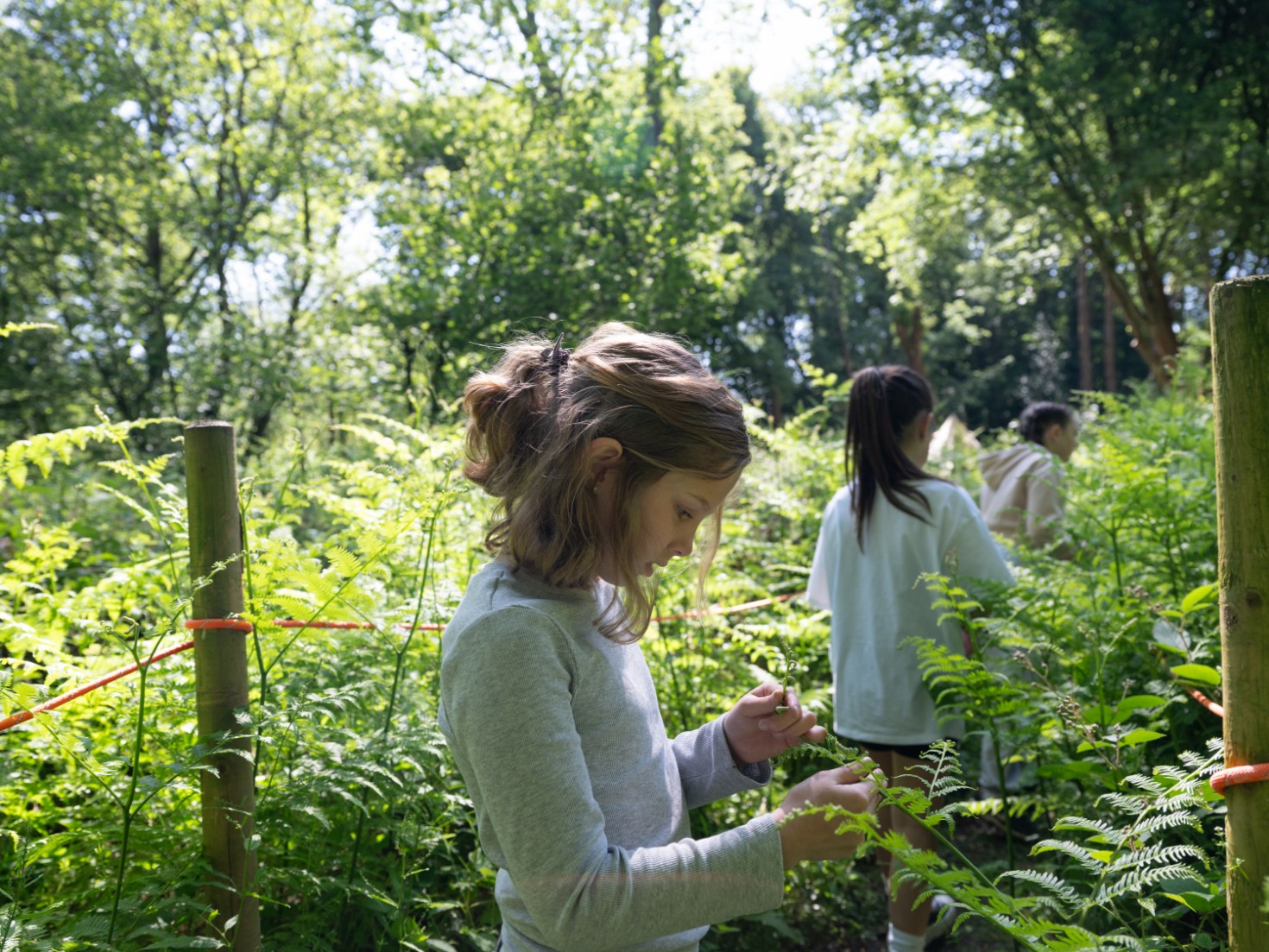 Featured image for “Environmentally responsible school trips”