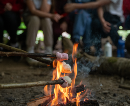 Featured image for “Autumn Residential Trips for Schools – The Complete Guide”