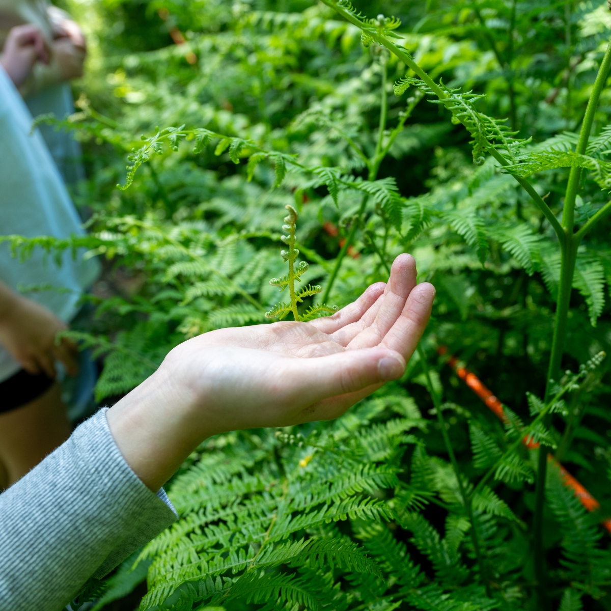 engaging with nature at Rootd Adventure Hertfordshire