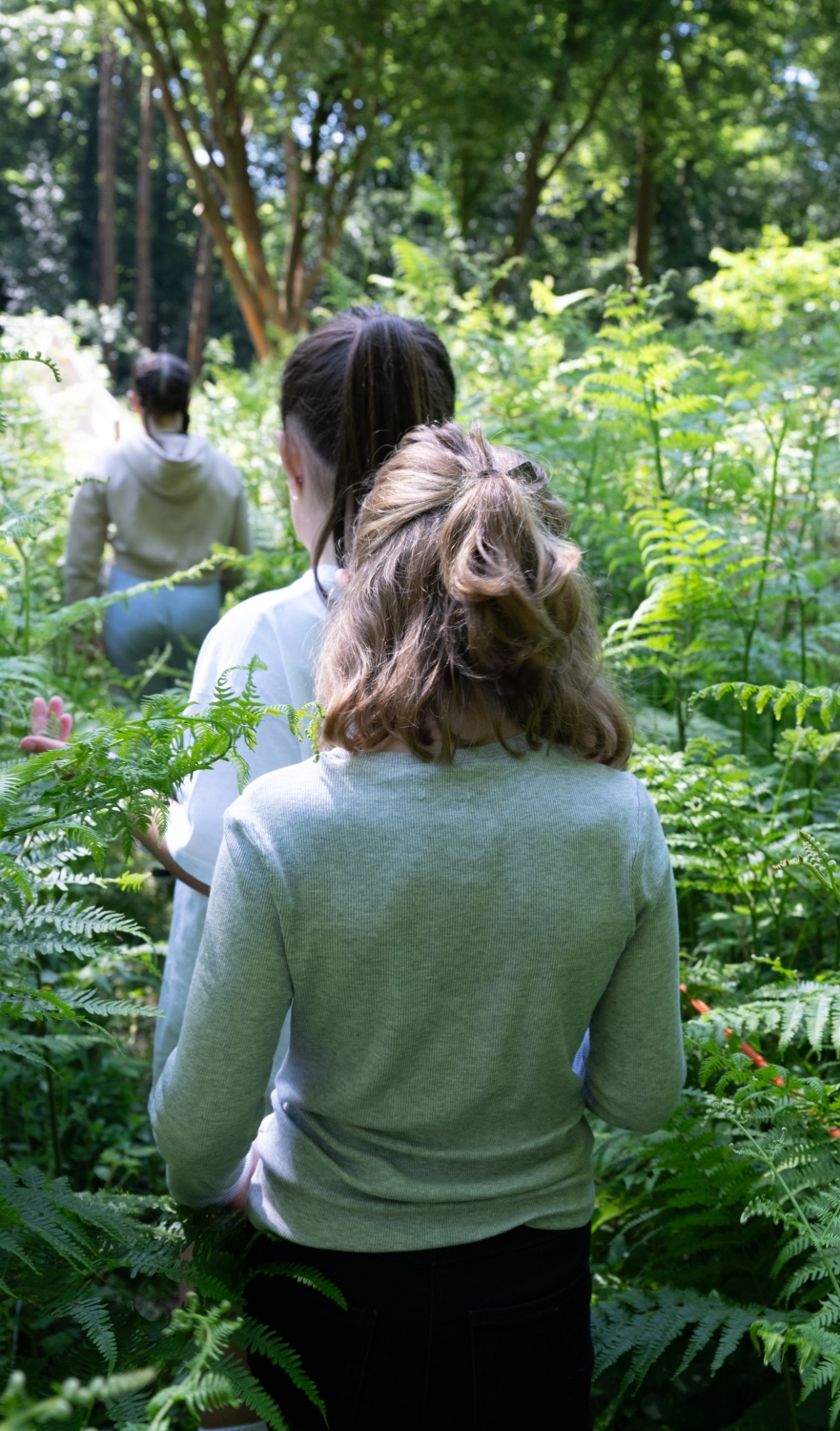 girls walking through forest on residential