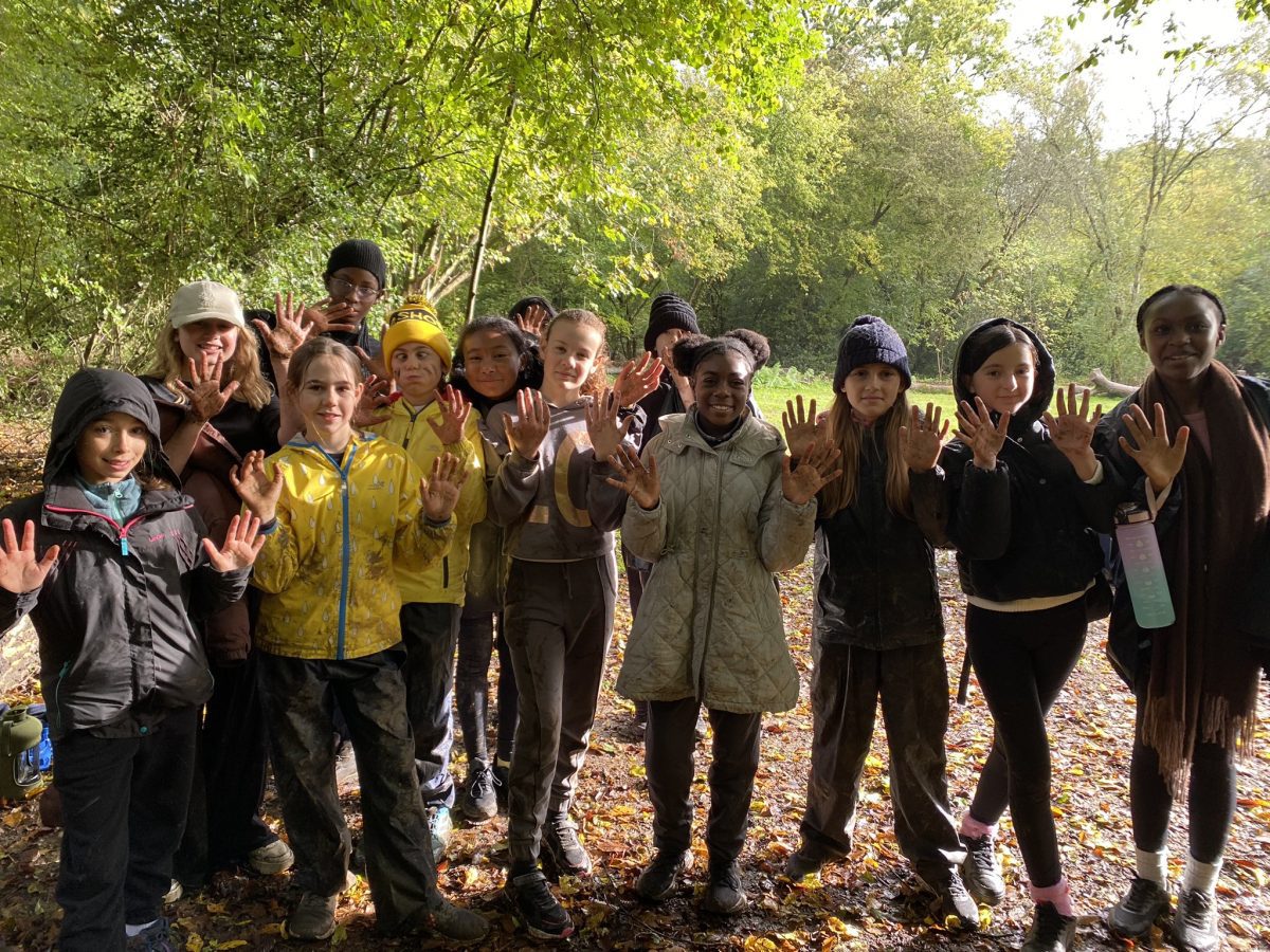 Autumn Woodland School Trip