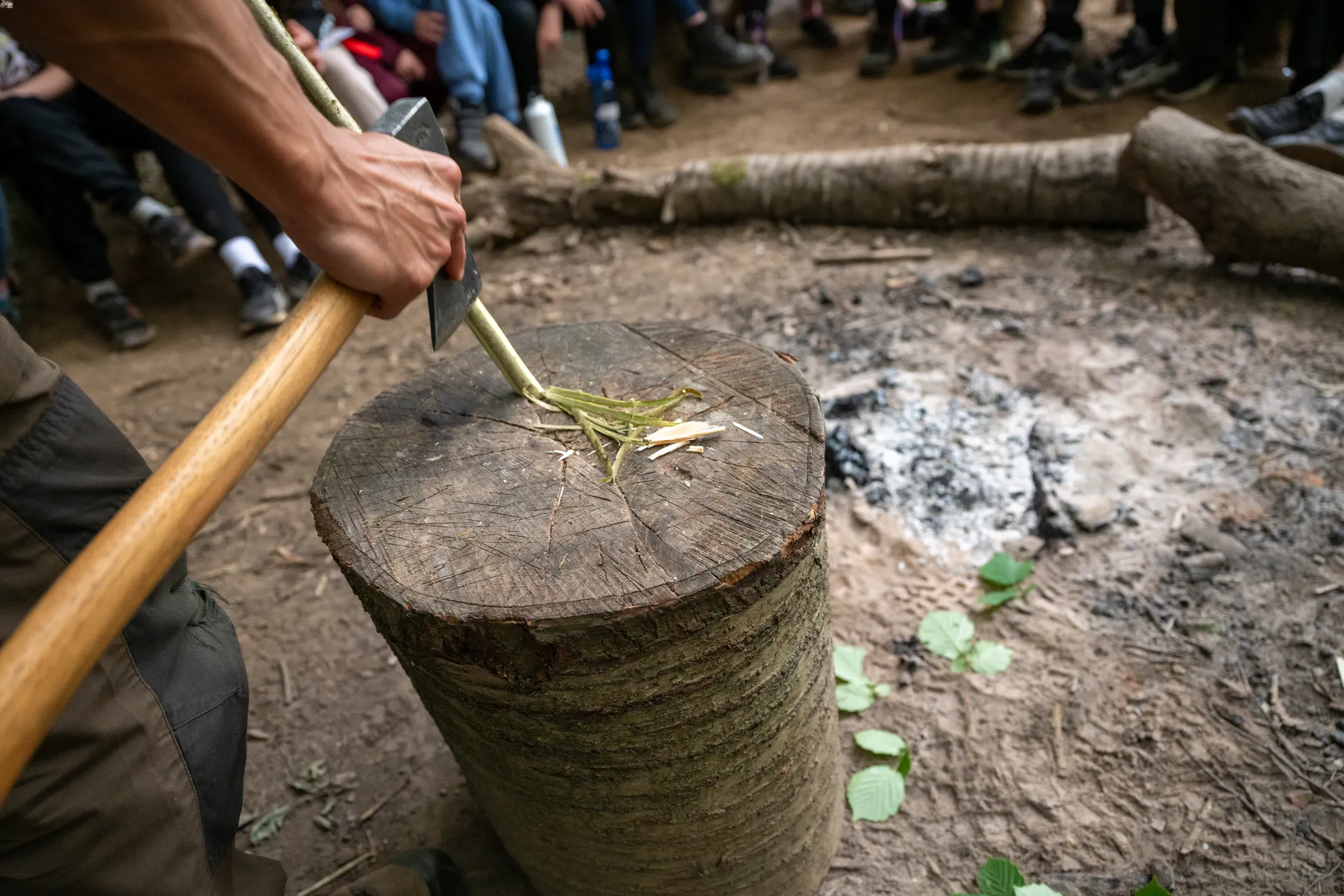 Featured image for “Is a Bushcraft or Multi-Activity School trip best for your students?”