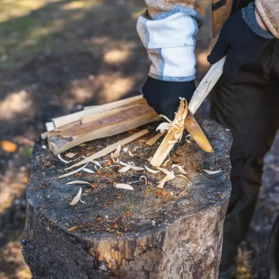 Image for choice number 5