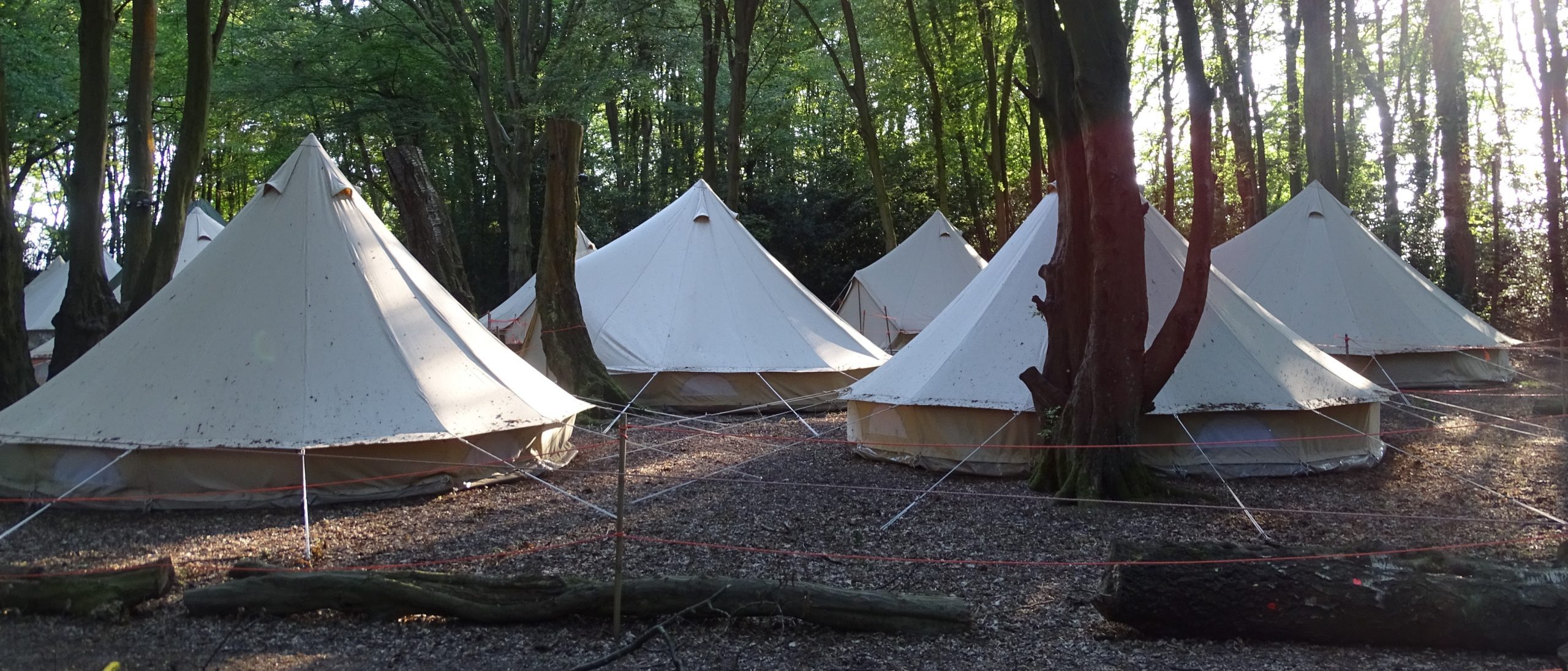 Featured image for “A bonding experience for Harris Academy Beckenham Year 7s”