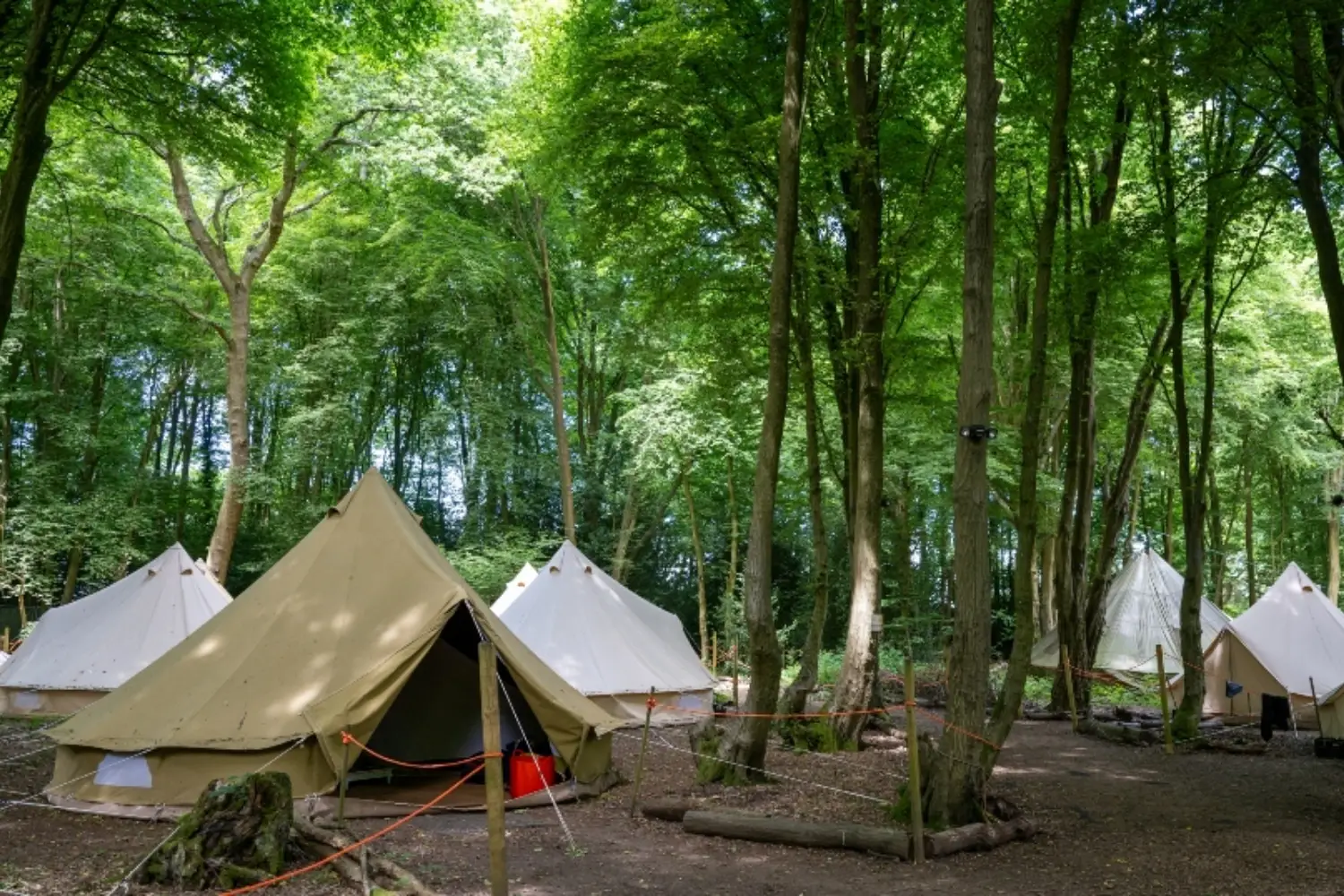 Bell tent village hertfordshire