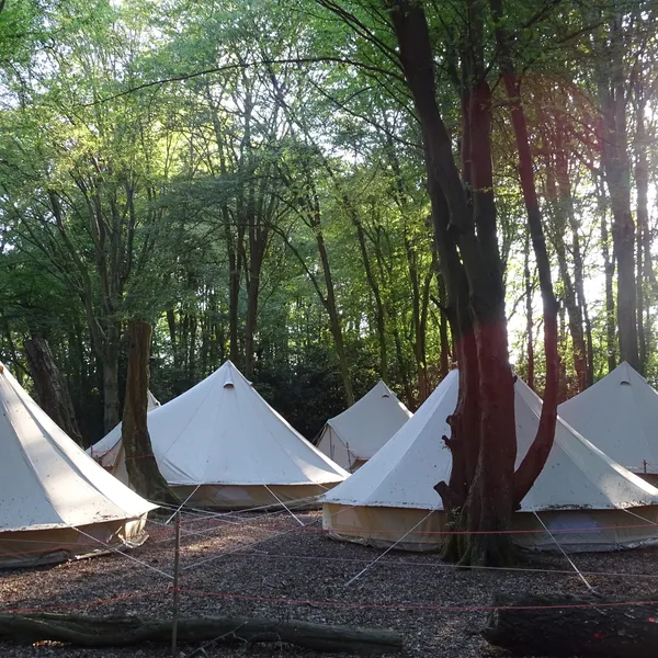 group of bell-tents in woods
