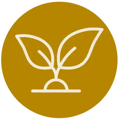 Environmental awareness